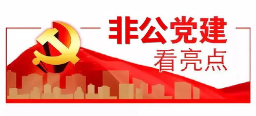 深化非公黨建創(chuàng)新實(shí)踐，拓展‘兩個(gè)覆蓋’夯實(shí)基礎(chǔ)電信業(yè)務(wù)根基
